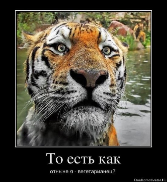 Я вегетарианец?