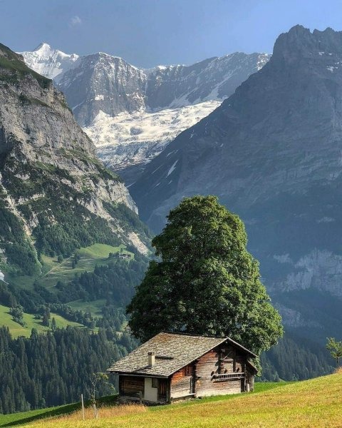file_101215422