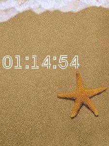sea-animated-fl-1.1
