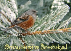 Отличного денёчка