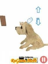 The Dog - Labrador - Retriever