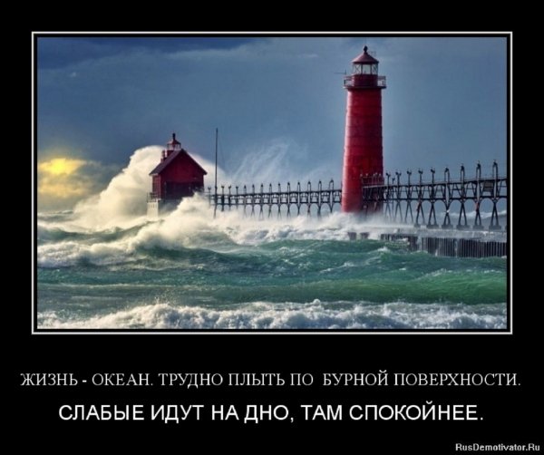 ЖИЗНЬ -- ОКЕАН...