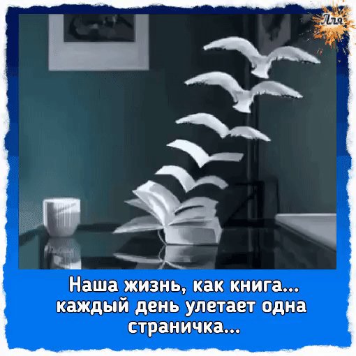 IMG 20220205 224542
