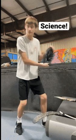 gifs 17