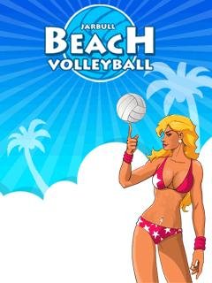 Beach Volleyball
