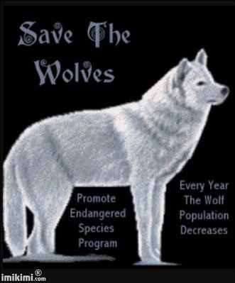 Save The Wolves