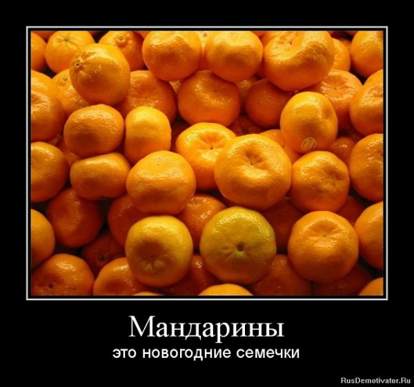 Мандарины - это новогодние семечки