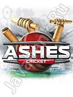 ashes cricket 240x320