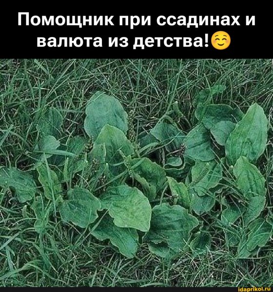 Ec8e71ac16cedd8e77fd9b5b6ac541d76683d791136f 1