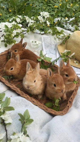 IMG 20240523 043611 902