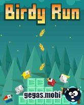birdyrun 240x400 ts