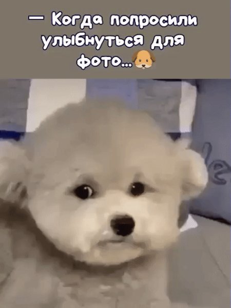 IMG 20220918 233322