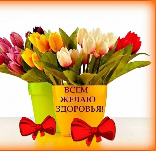 7tN72ZgOEyk