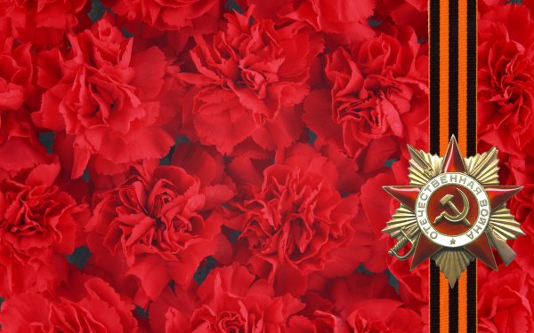 9 мая обои ПК