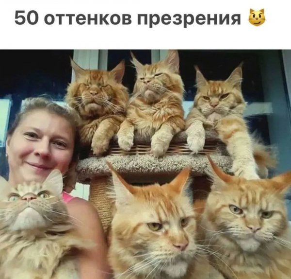 FB IMG 1778702797731