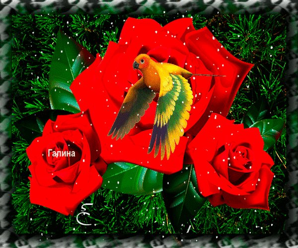 Анимированная открытка галина зимний