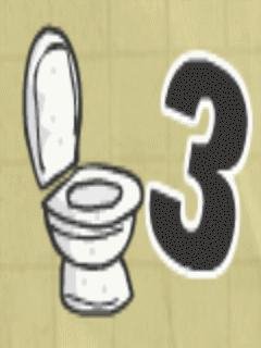 Toilet Suceess 3