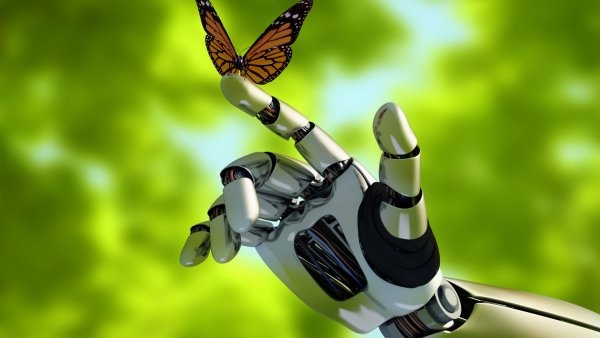 hi-tech-technology-robot-1187