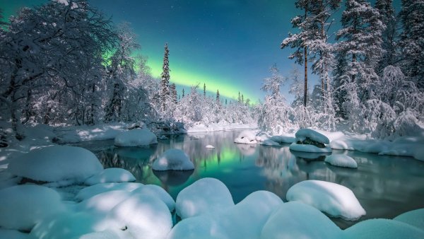 Лесная сказка, Елена Ермолина