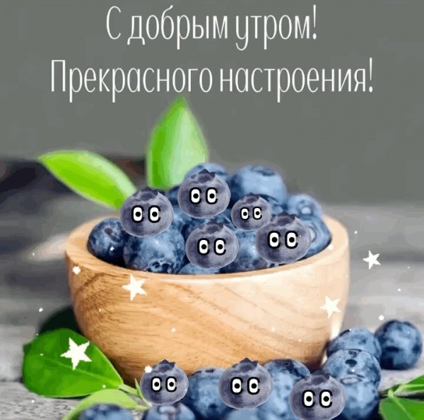 Images 24589
