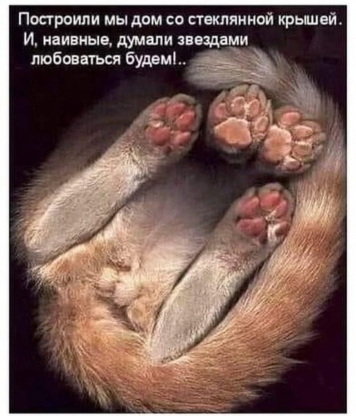 FB IMG 1779123541955