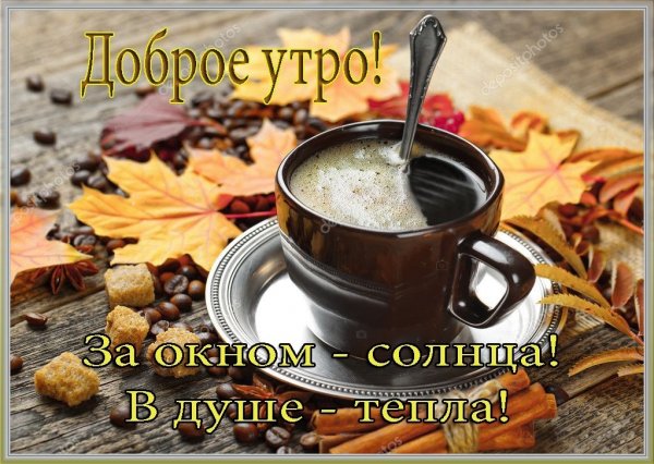 zFilspoyous