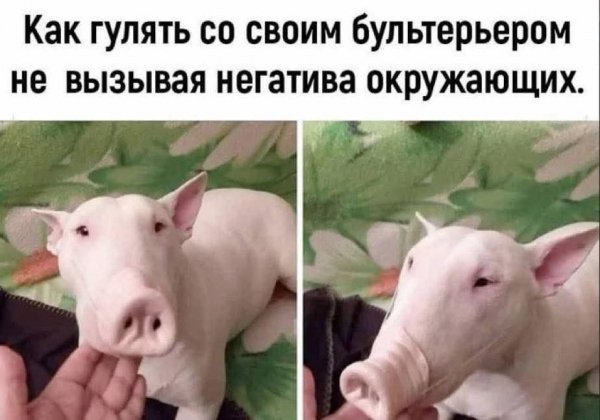 FB IMG 1777725157284