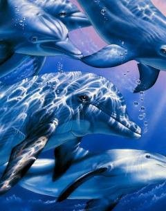 Put Toltekov pereprosmotr