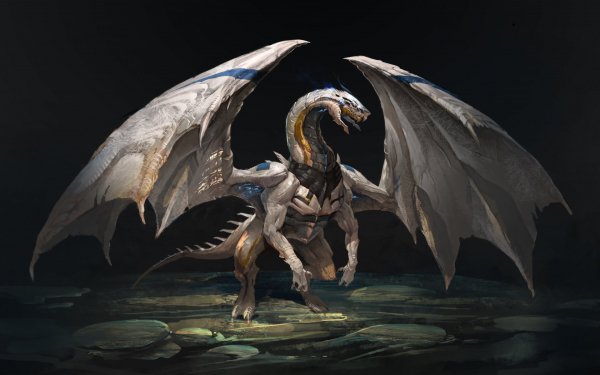 Image (14)