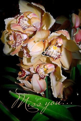 file_49543577