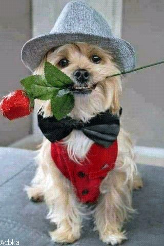 file_76913974