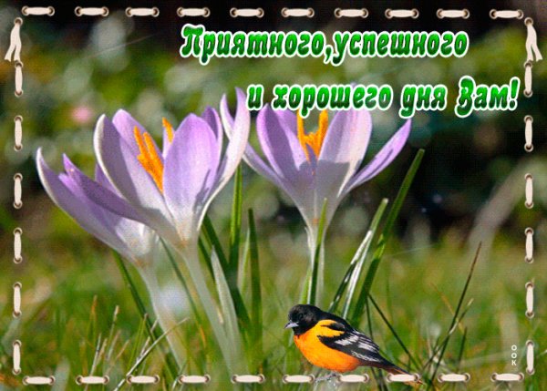 file_99148463