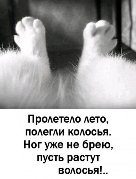 FB IMG 1758148954056