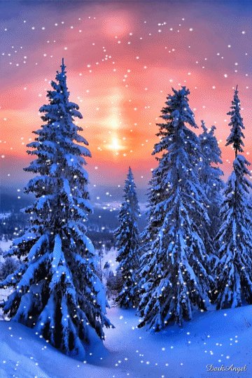 Bc5a133b68ef2224a832c668df19caf1