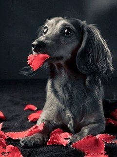 file_50565390