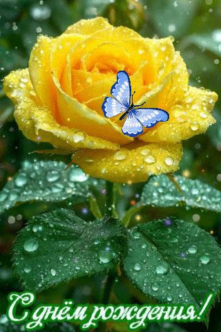 file_98799278