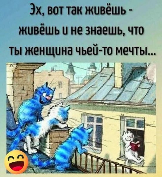 FB IMG 1777392874292