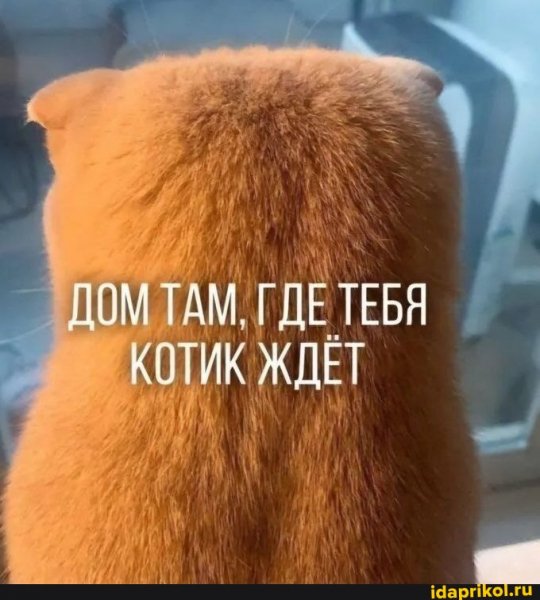 72c78a9b0d5729ec1a91f59fecb5c80492d6df1edc7c095210 1