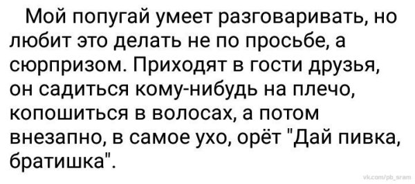 7txKwQ4DqaU