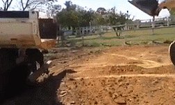 Мой брат мастер своего дела