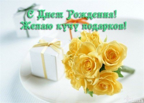file_81228022