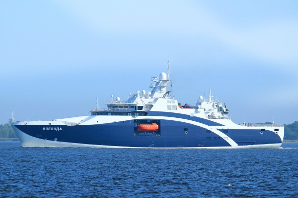 IMG viter59 134223