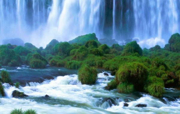 1dtMJrEWZmdhIpic 42. 000