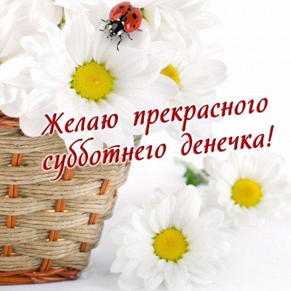 file_93191180