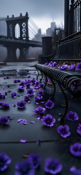 Purple-flowers-in-the-black-background-311024