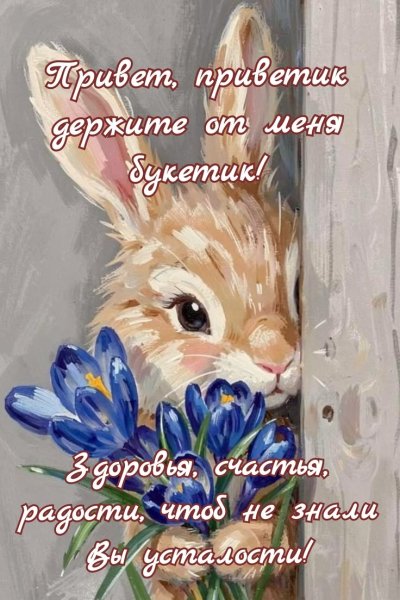 Доброе утро (339)