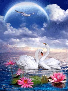 Angel star moon