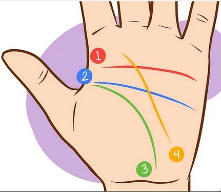 Хиромантия ( Гадание по руке )