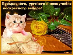Уютного вечера