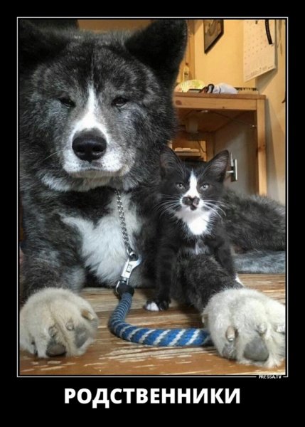 Родственники